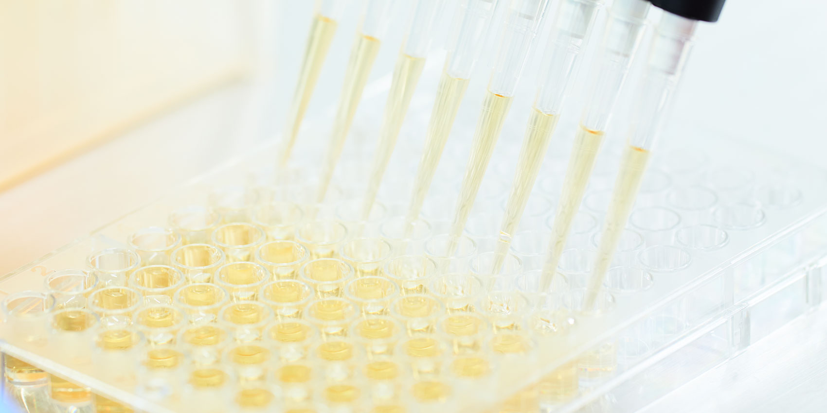 幹細胞培養上清液について